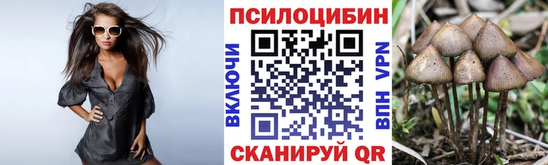 Галлюциногенные грибы GOLDEN TEACHER  Купить закладки  Аша 